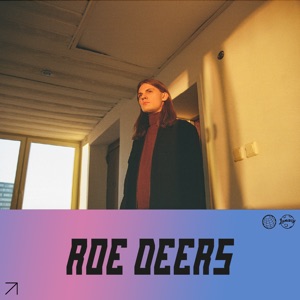 Roe Deers